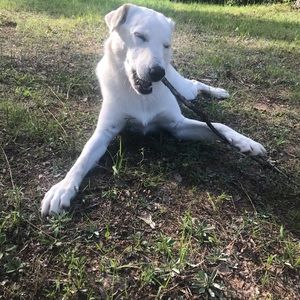 Meet your Posher, Jajason